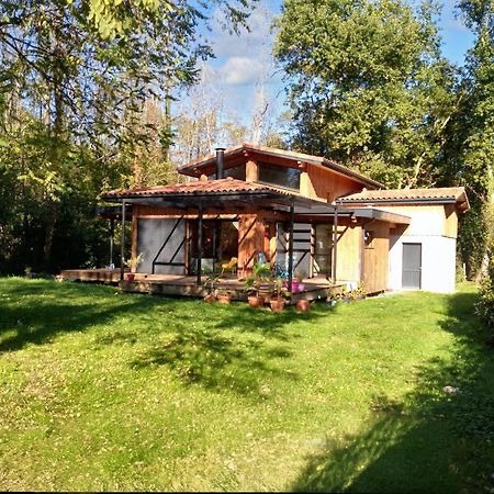 Maison Spacieuse A Saint Selve Avec Jardin Et Barbecue 125 M² エクステリア 写真